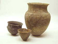 Objects from Ohnisi Shell Mound